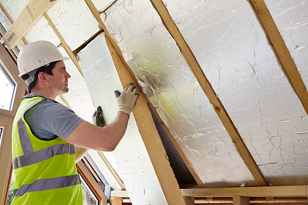 Best Insulation Inspection Services  in Childersburg, AL