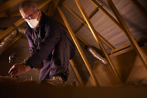Best Wall Insulation Contractor  in Childersburg, AL